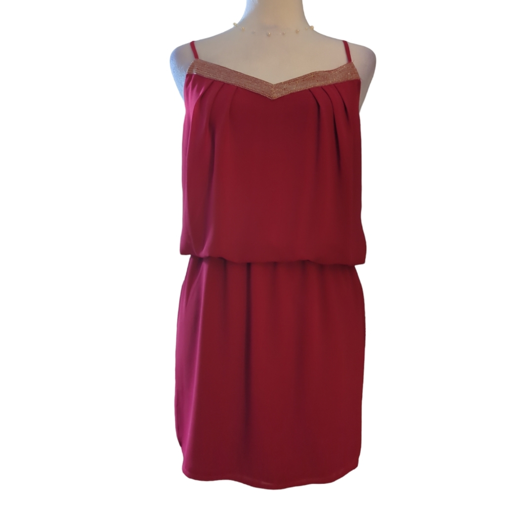 Naked zebra mini dress size S color Red